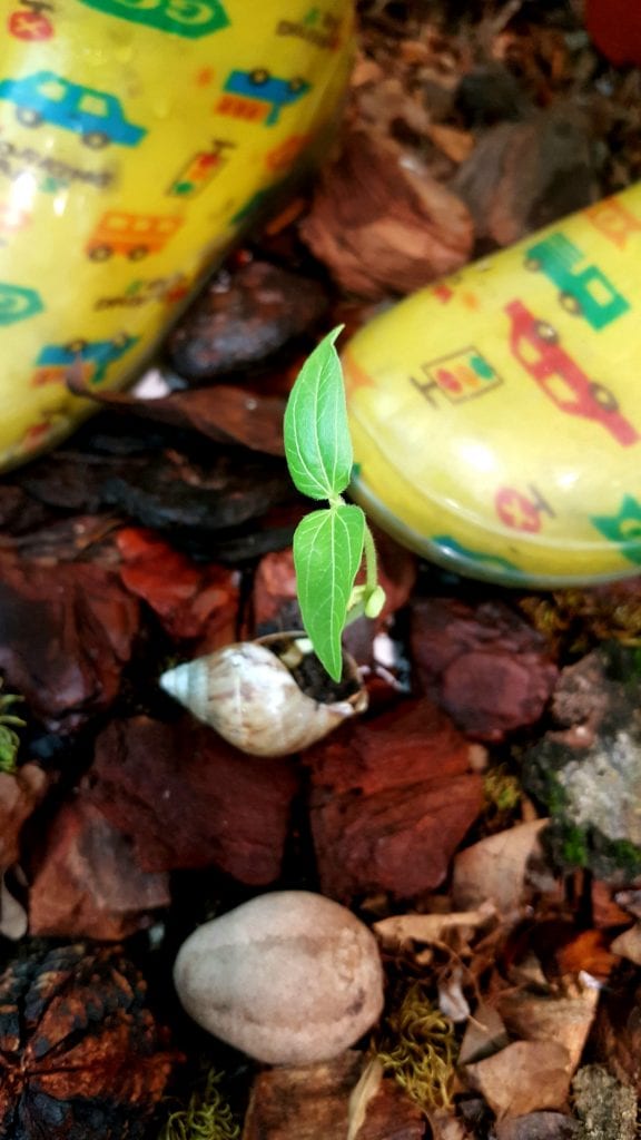 20190430_232910-576x1024