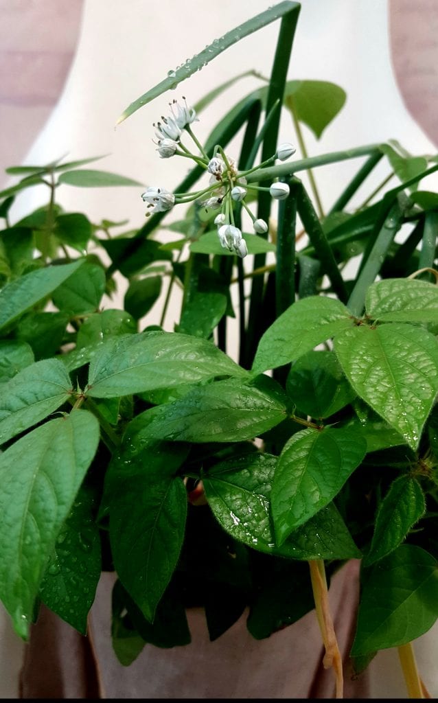 20190430_233139-638x1024