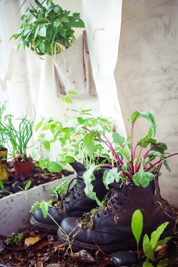 46998898484_94b9a679e8_o-683x1024