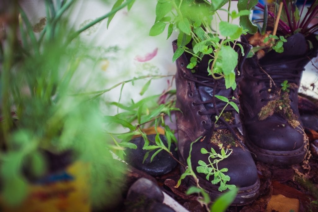 47735869162_ce5a44a0cd_o-1024x683