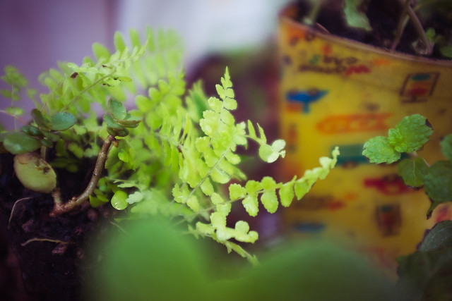 47735870302_edfaf5bc3d_z